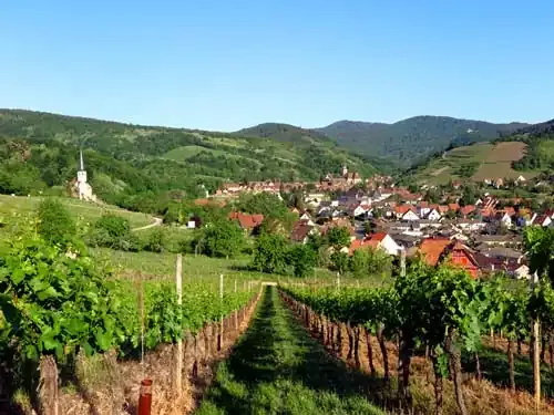Andlau, la perle du vignoble à vélo