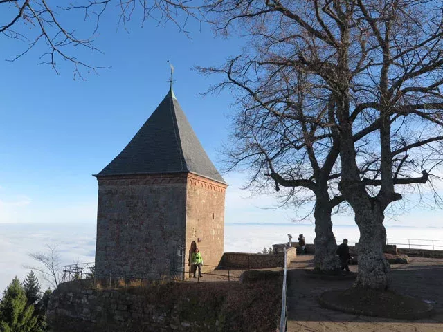 Beauté des paysages au Mont Sainte Odile