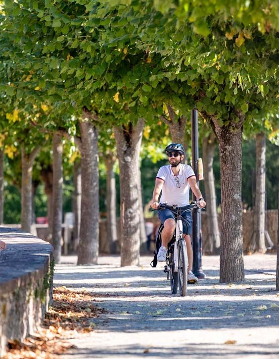 Location de vélos à assistance électrique