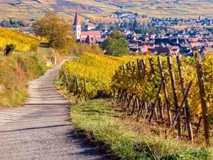 Route des vins à vélo, véloroute du vignoble