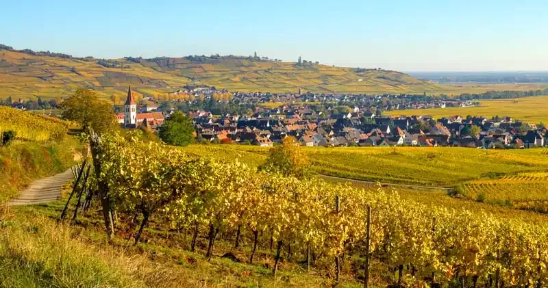 Route des vins d'Alsace à vélo éléctrique