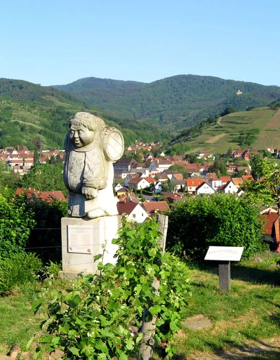 Circuit à vélos autour de la route des vins d'Alsace