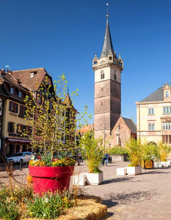 A vélos vers Obernai