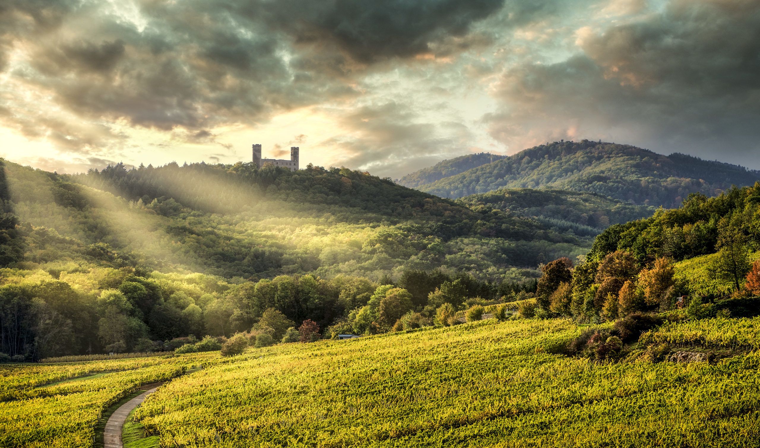 Self e-bike tour through Alsace and the wine road (on your own).