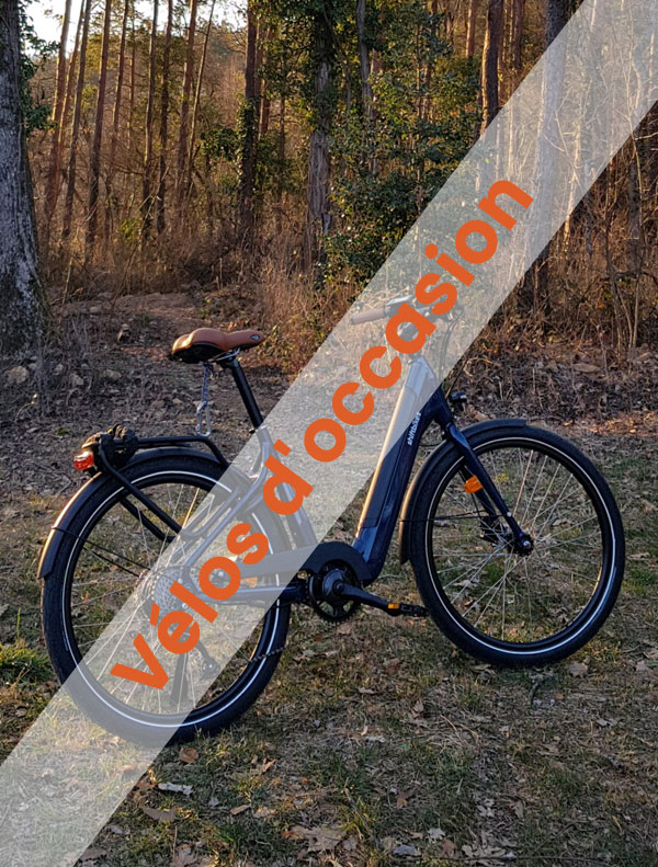 Vente vélos à assistance électrique d'occasion