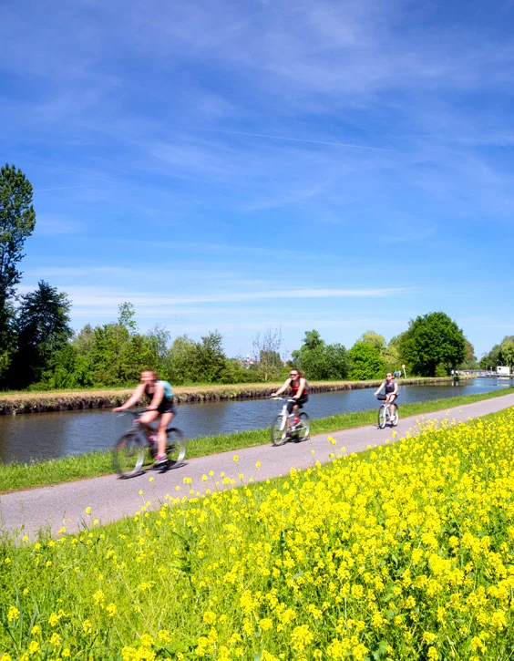 Grand tour d'Alsace à vélo