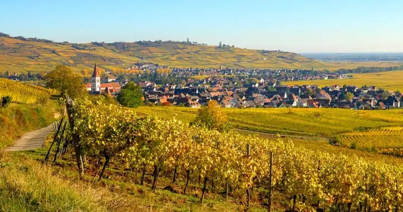 Route des vins d'Alsace à vélo éléctrique